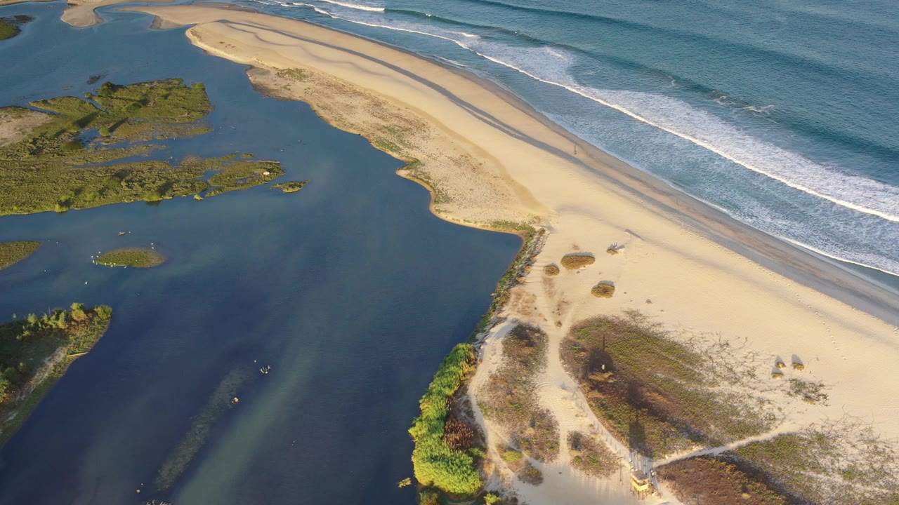 High coastal view with dark water, sandy beach, plants, and surf.