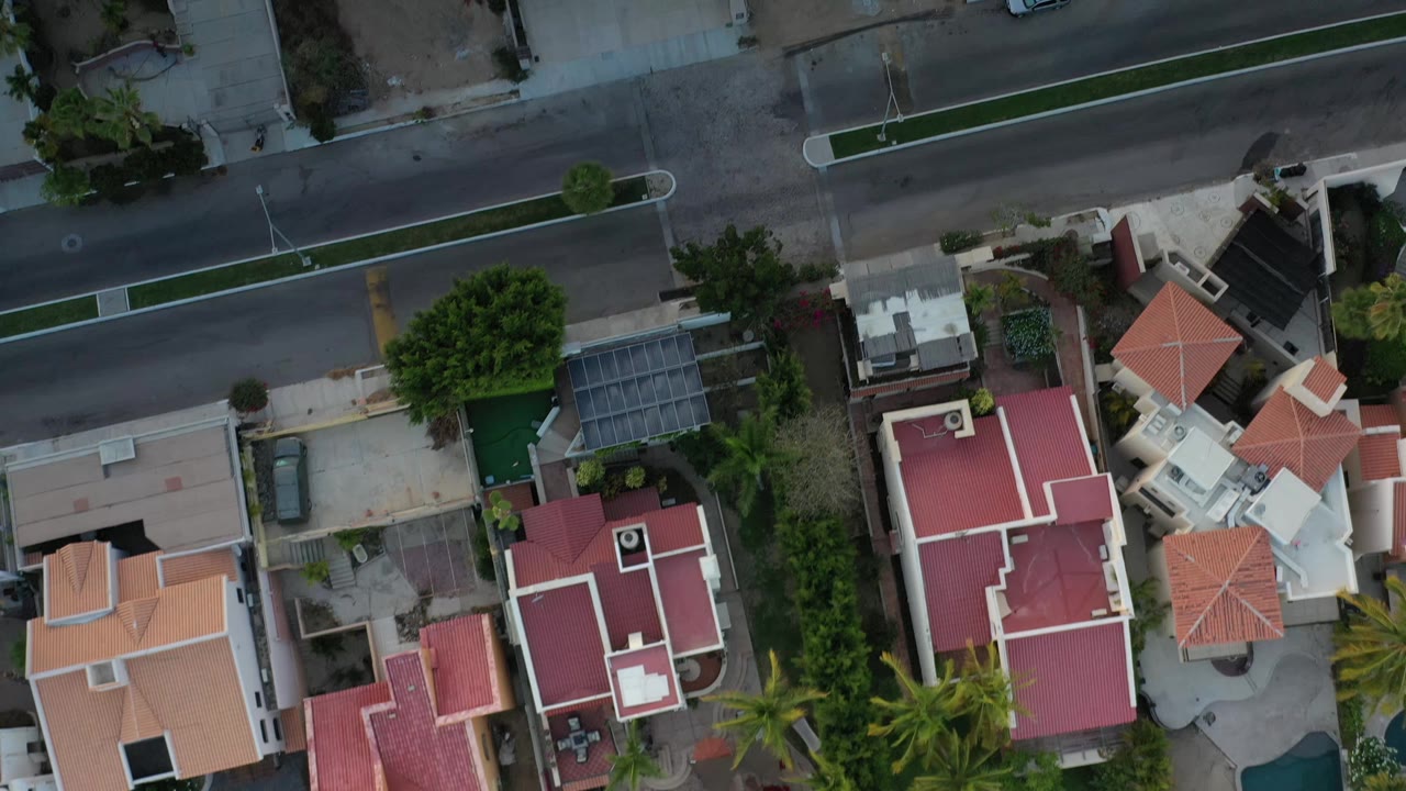 A slightly shifted overhead view in Los Cabos shows the road running across the upper frame, a large green tree near the center, red roofs, light driveways, and no visible people.
