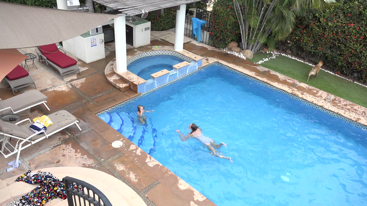 Adult and child in a backyard pool with a dog on the grass nearby.