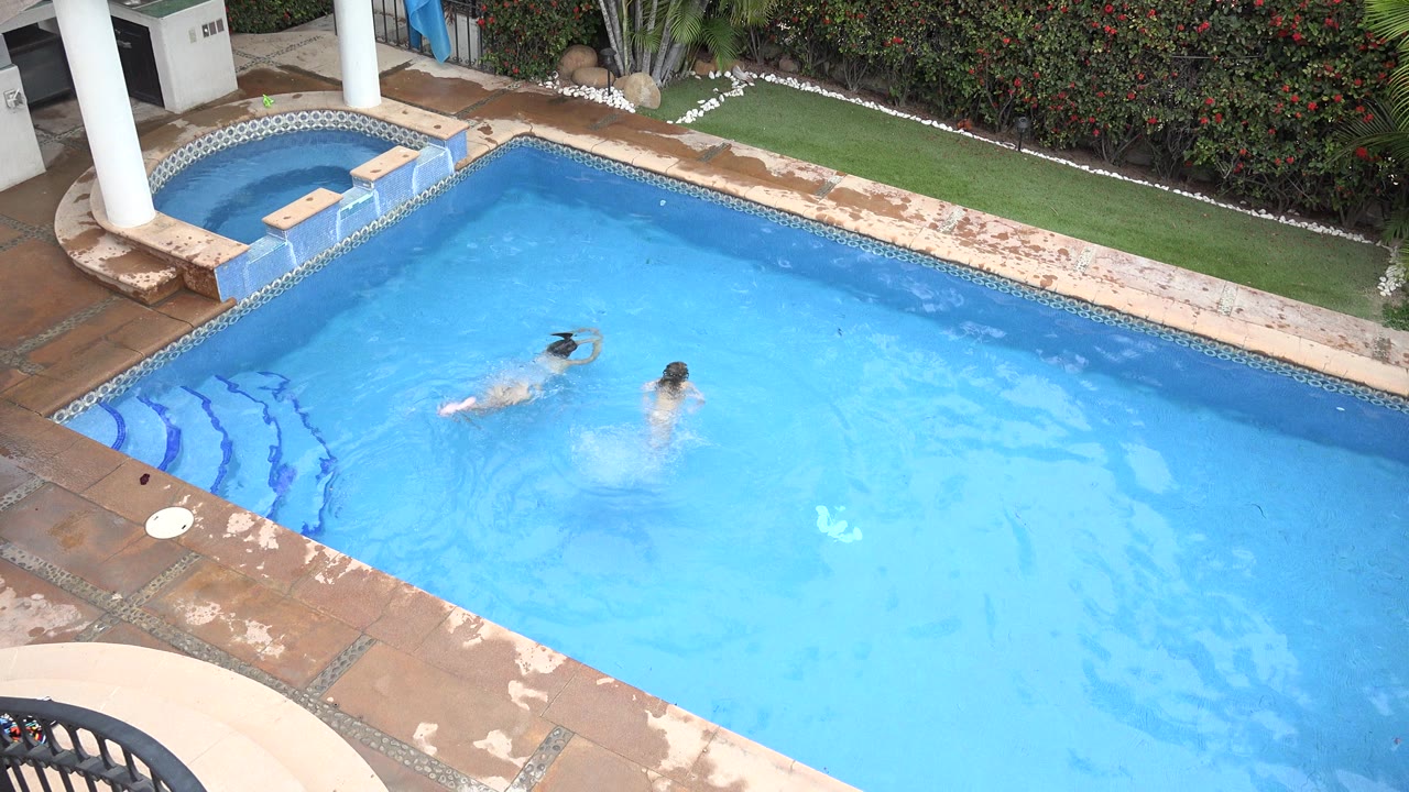 Two children are visible in a blue swimming pool in Los Cabos, Mexico, while a dog moves along the far pool edge near hedges and white columns.