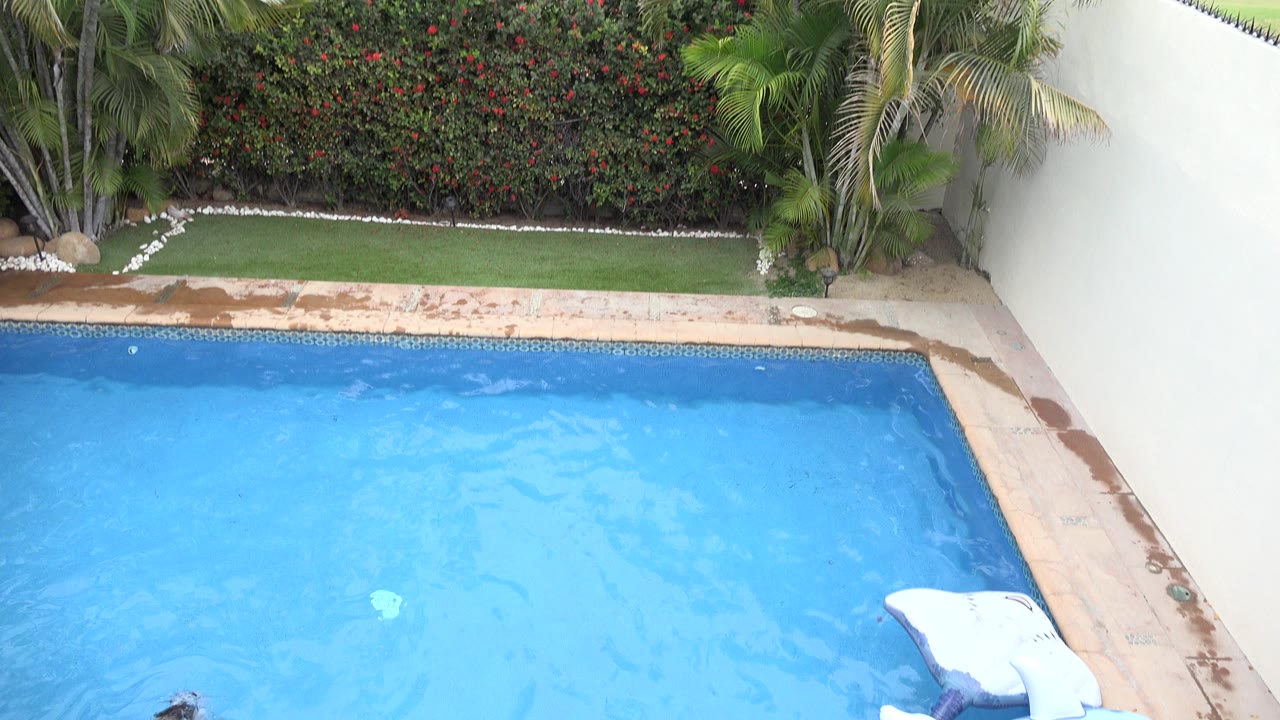 The Los Cabos pool remains mostly empty in frame, with rippled blue water below a wet stone border, a white wall to the right, and no visible people.