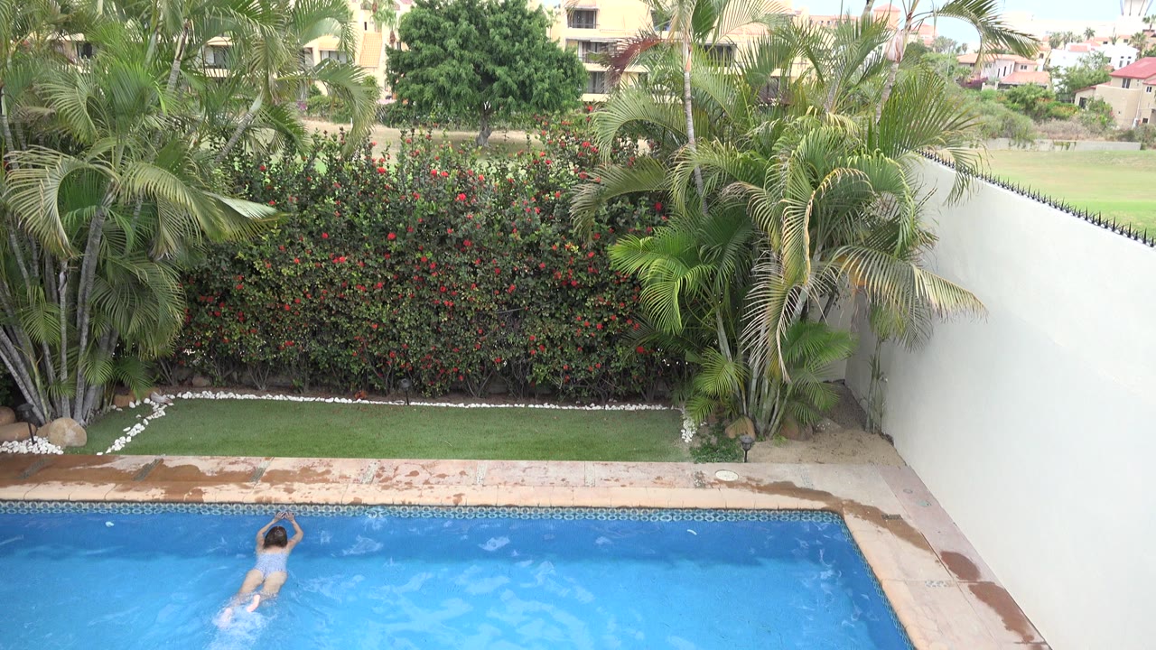 Los Cabos backyard pool seen from above with a small swimmer entering the lower left of frame, a flowering hedge, palms, a white side wall, and distant residential buildings.