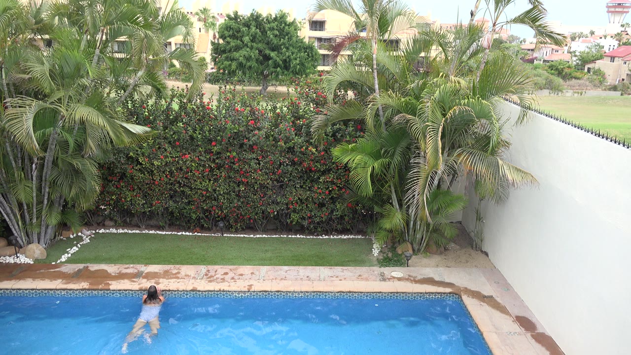 Swimmer partly visible near the pool edge with palms, hedge, and white wall beyond.