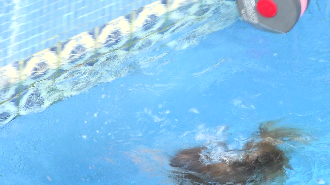 Young girl mostly underwater in a blue swimming pool in Los Cabos, Mexico, with patterned tiles and rippled sunlight across the water.