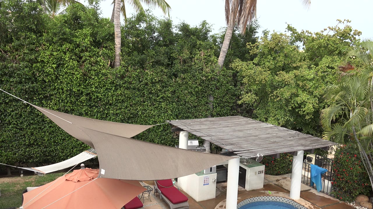 Elevated view of a shaded patio area bordered by dense green trees and palms.