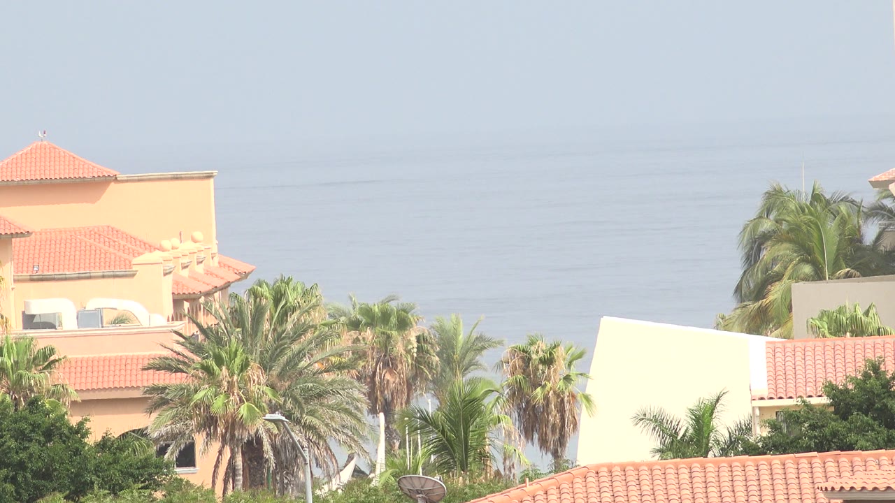 Terracotta-roof houses with palms and ocean behind them.