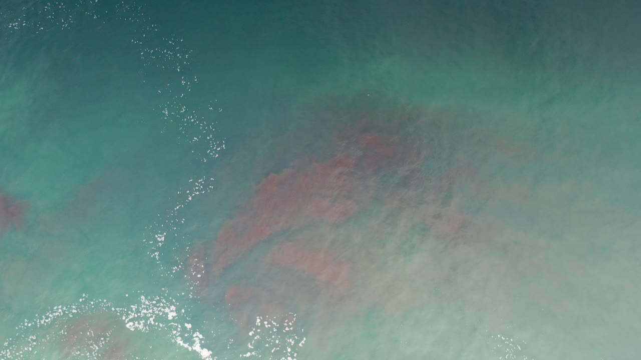 Green water in Los Cabos, Mexico reveals reddish submerged rock shapes beneath a lightly sparkling surface, with no visible people.