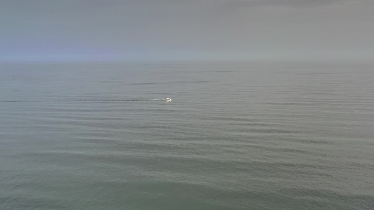 Tiny white bird on calm open sea under a hazy horizon.