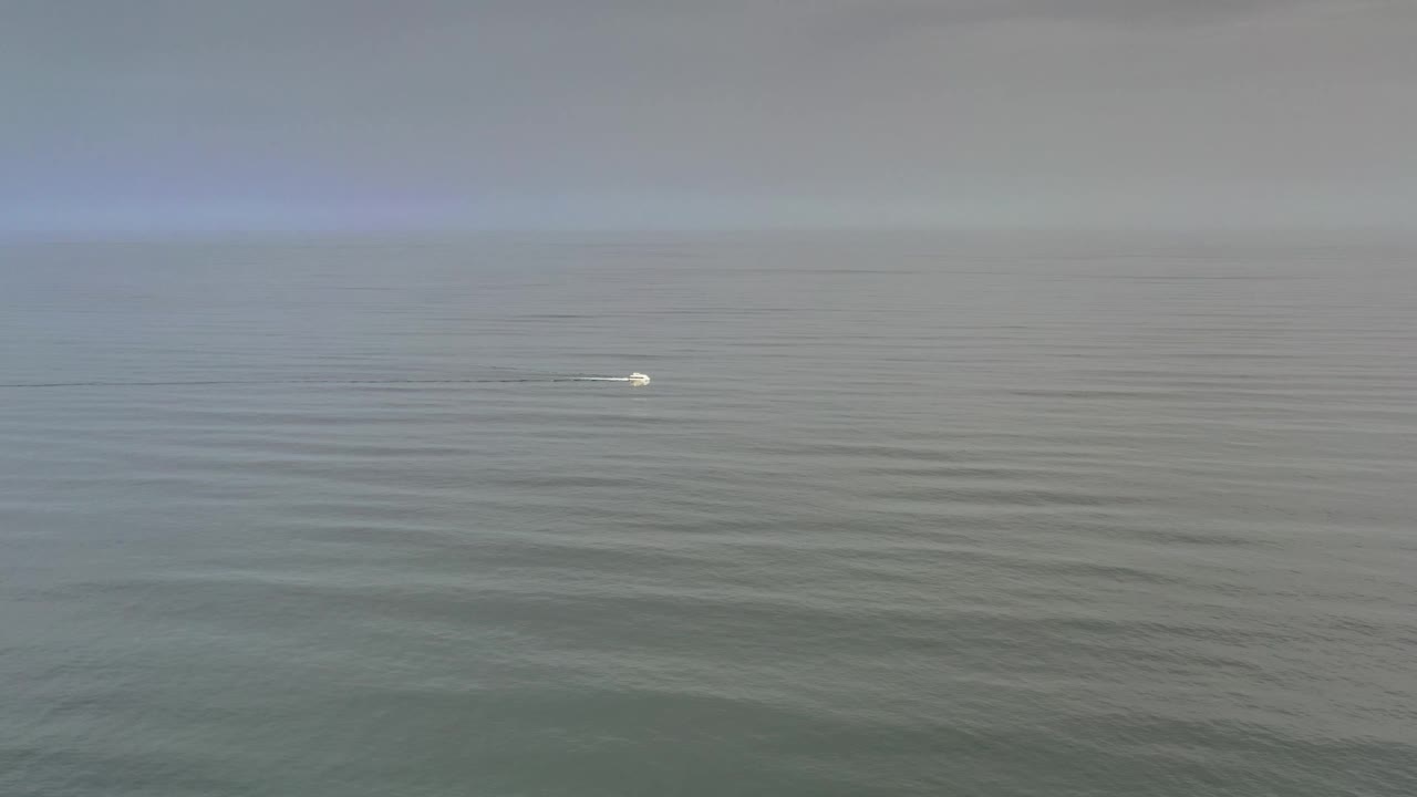 The small white bird remains distant on the Los Cabos sea, with subtle ripples spreading across the muted water and no visible people.