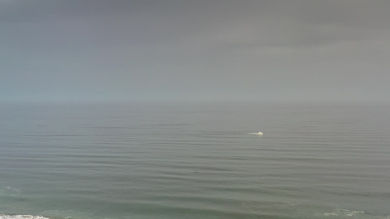 Wide gray-green ocean under a pale sky with a small white spot offshore.