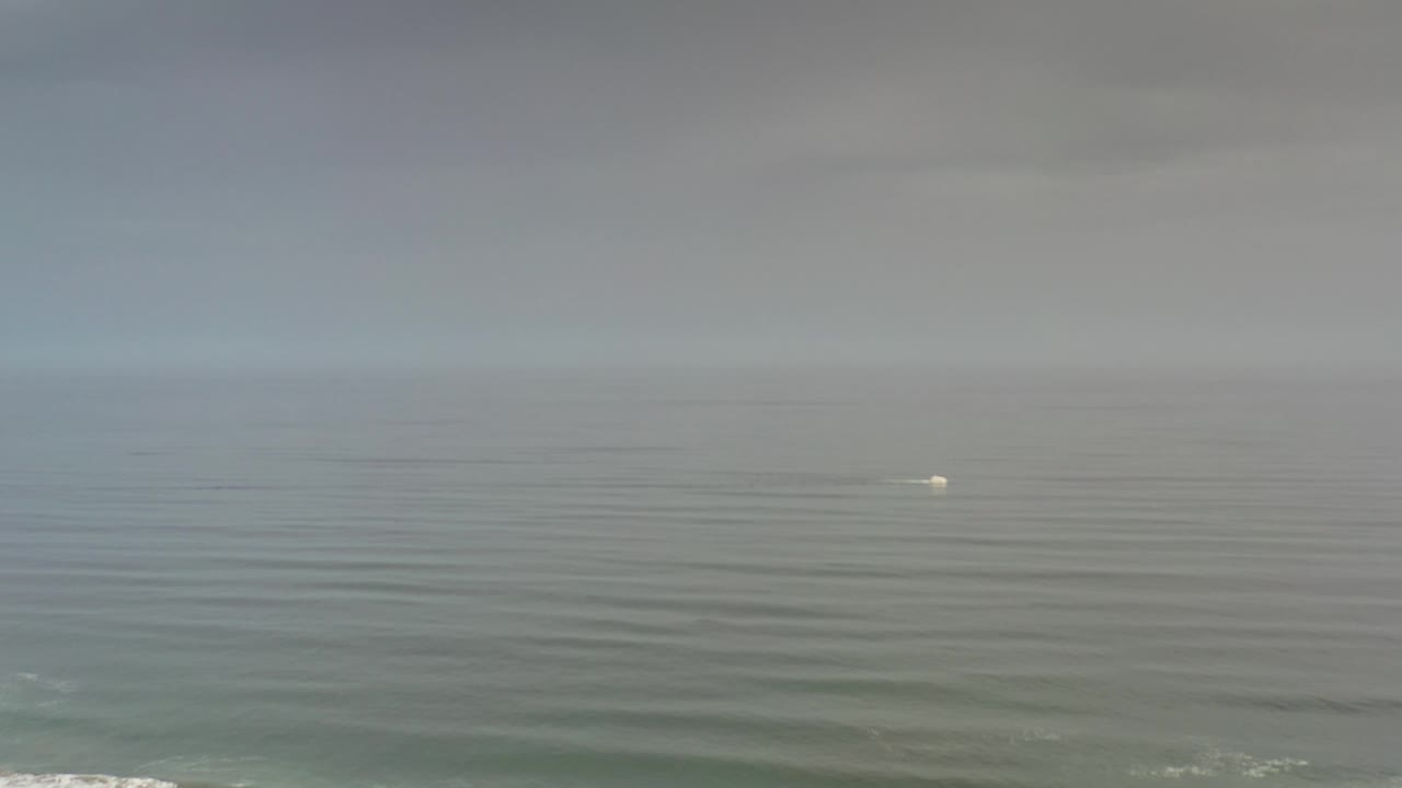 Muted ocean horizon with a tiny white spot on open water.