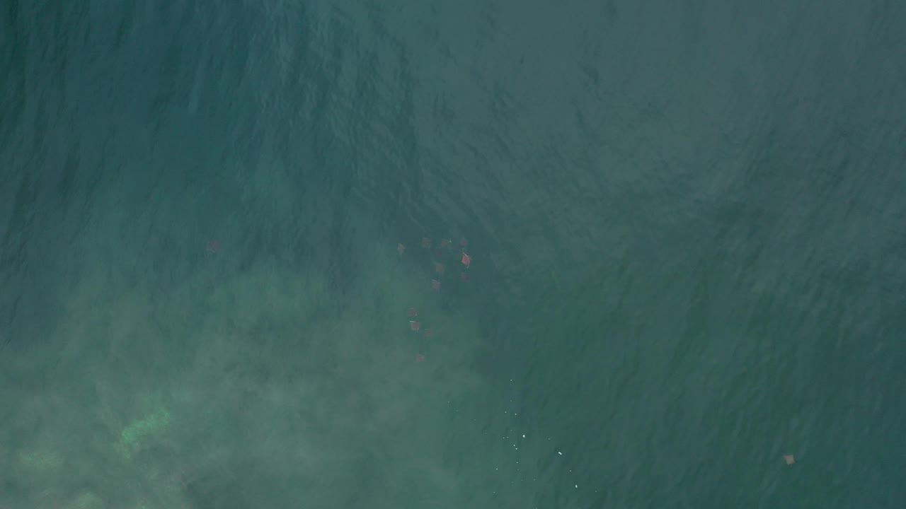Blue-green ocean surface in Los Cabos with cloudy underwater patches near the lower edge and no visible people.
