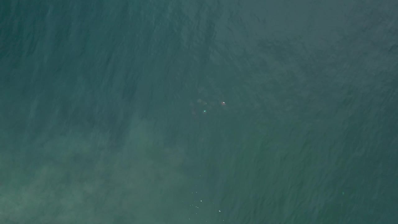 Aerial view of teal river or coastal water in Los Cabos, Mexico, with darker vertical streaks and scattered tiny fish-like points, no visible people.