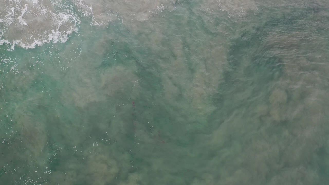 Overhead green sea water with pale foam near the upper edge.