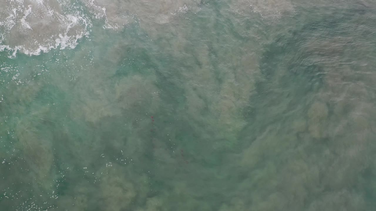 Overhead Los Cabos coastal water showing a broad green field, faint underwater sand streaks, scattered sparkle on the surface, and no visible people.