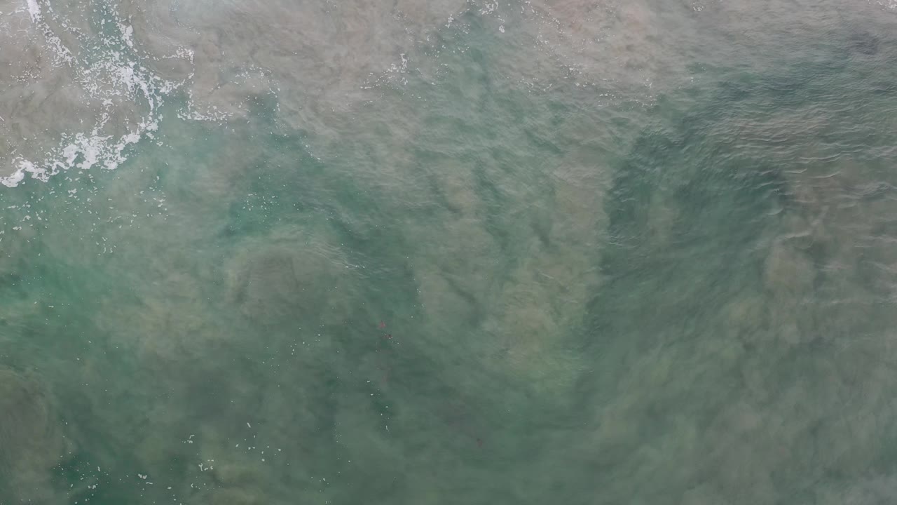Foamy wave edge over green coastal water and clouded sand below.