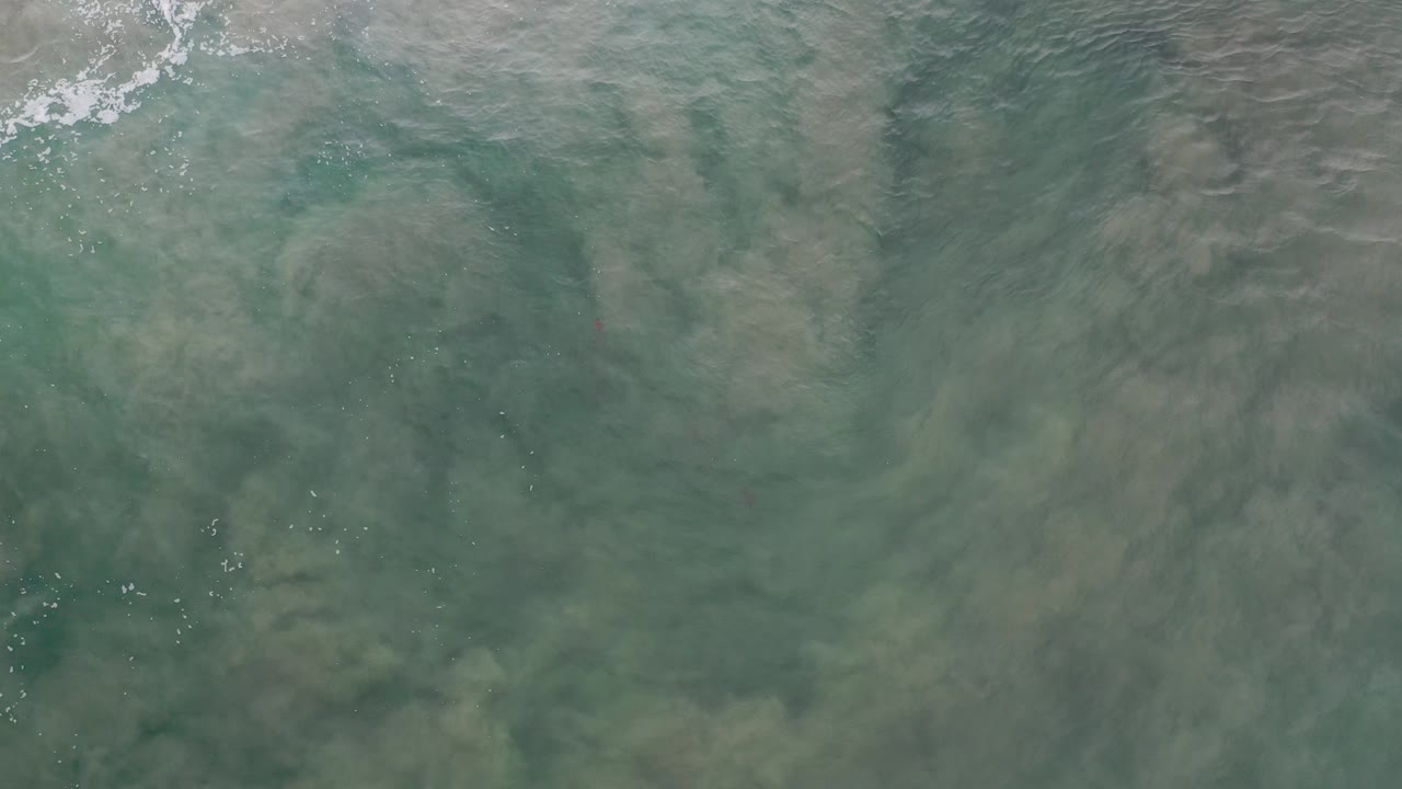 Shallow green ocean water over cloudy sand patterns.