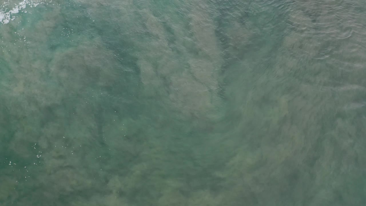 Shallow coastal water with darker sand patches and light ripples.