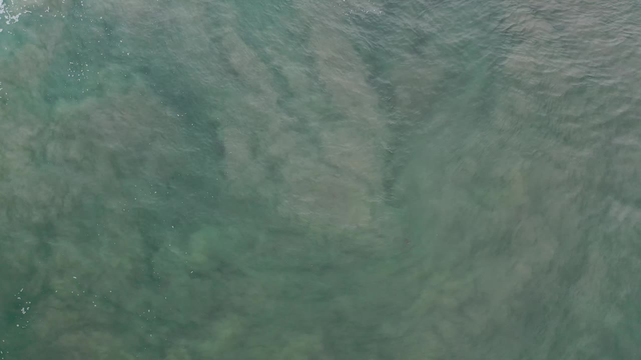 Green-blue seawater fills the frame in Los Cabos, Mexico, with cloudy foam bands drifting through the middle and no visible people.