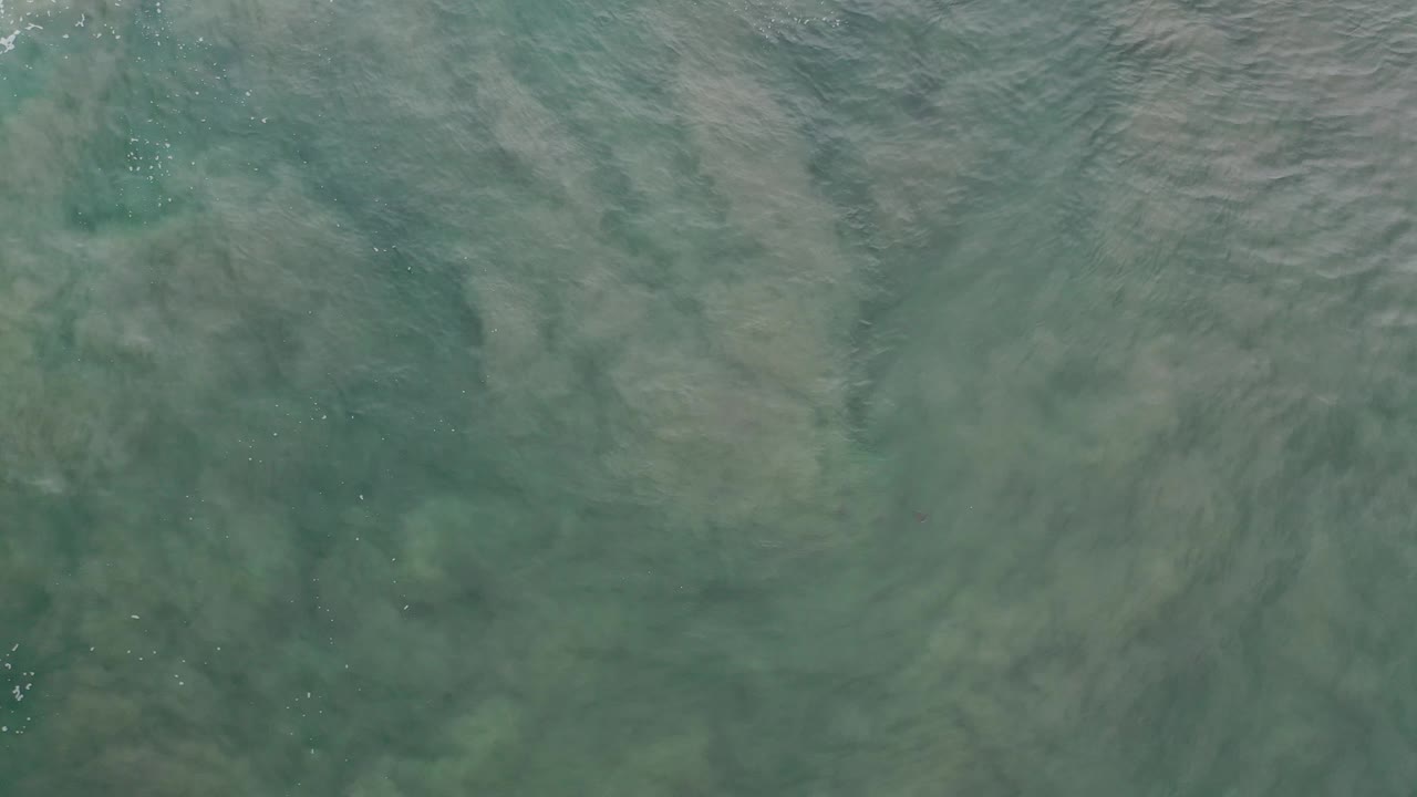 Muted teal water with soft rolling wave texture.