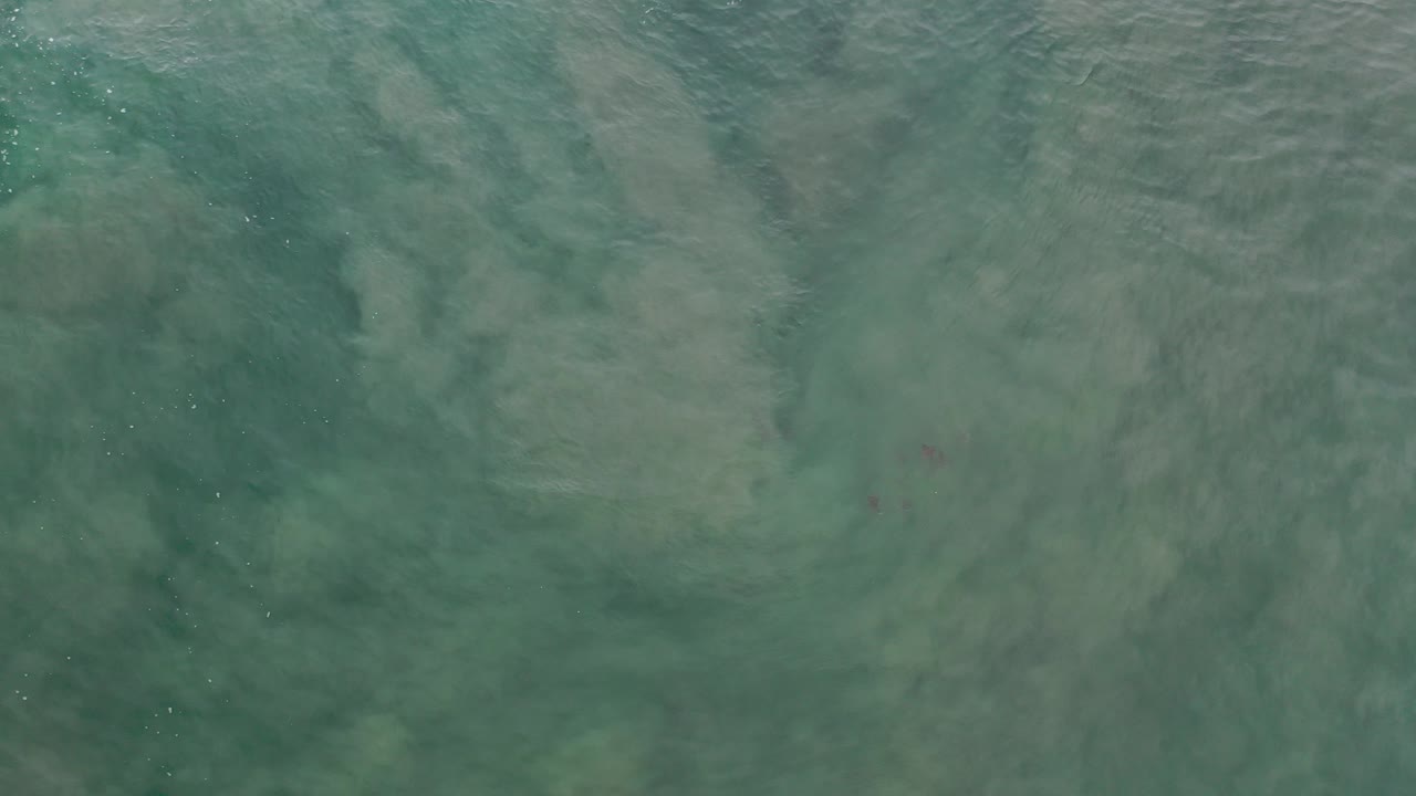 Green ocean water in Los Cabos fills the frame with soft cloudy reflections and fine ripples, with no visible people.