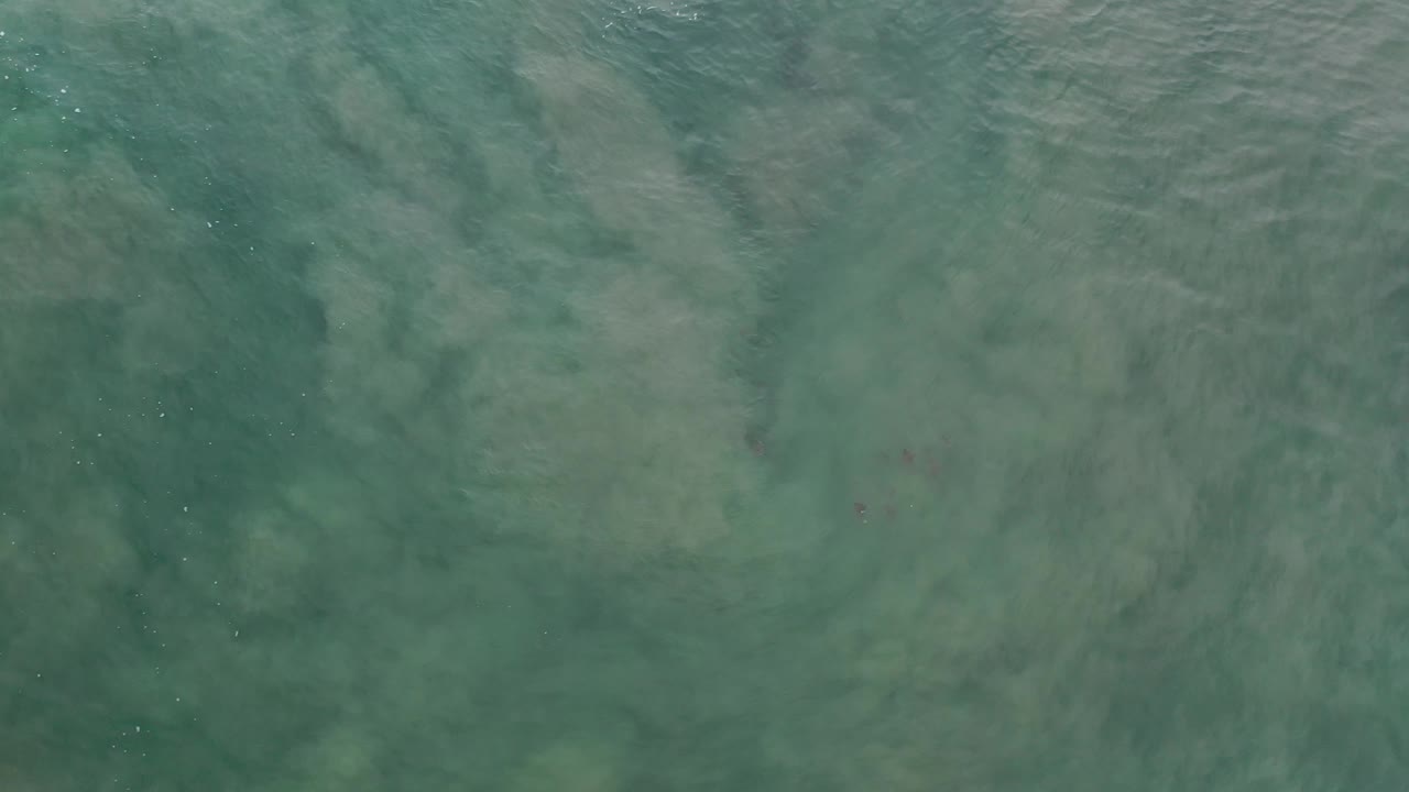 Cloudy green ocean surface with subtle rippled bands.