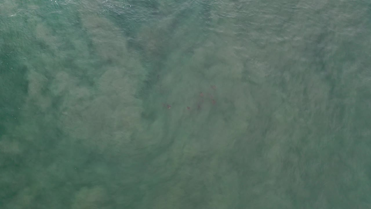 Early frame of green-blue sea surface in Los Cabos, Mexico, with faint ripples, mottled underwater tones, and no visible people.