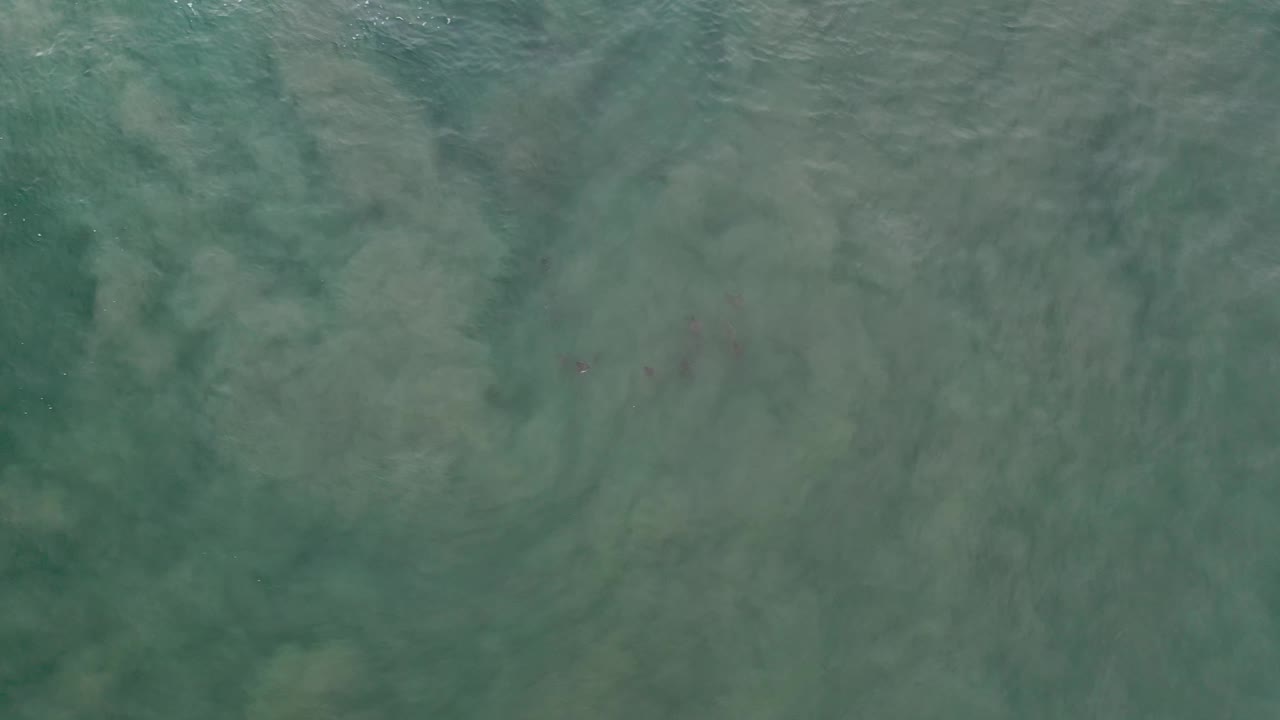 Green ocean surface in Los Cabos, Mexico, with slightly darker wave streaks crossing the frame and no visible people.