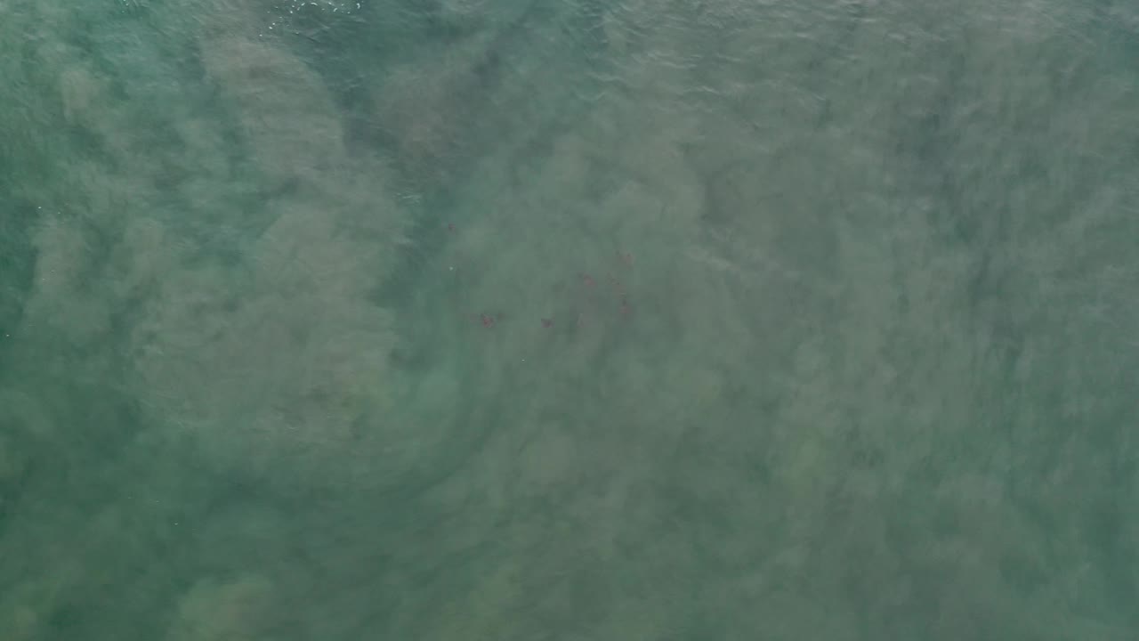 Calm green water with pale patches below the surface