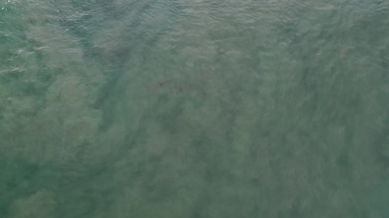 Overhead view of green-tinted shallow water over loose sand in Los Cabos, Mexico, with no visible people.