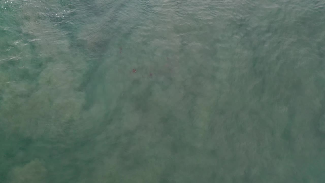 Green coastal water covers pale, cloudy sand patterns in Los Cabos, Mexico, with the frame filled edge to edge and no visible people.