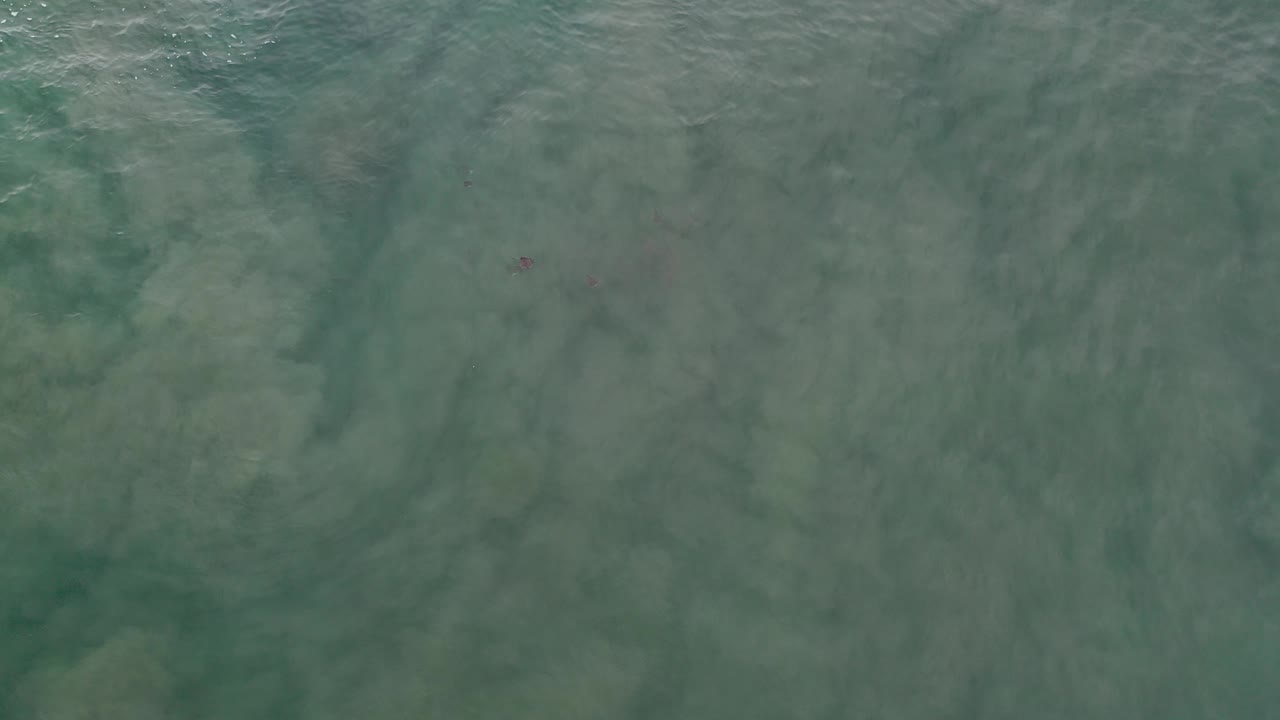 Shallow water with faint sunlight glints