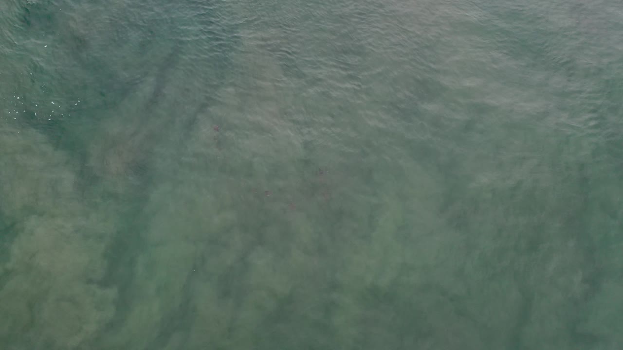Overhead view of clear green-blue seawater with faint ripples.