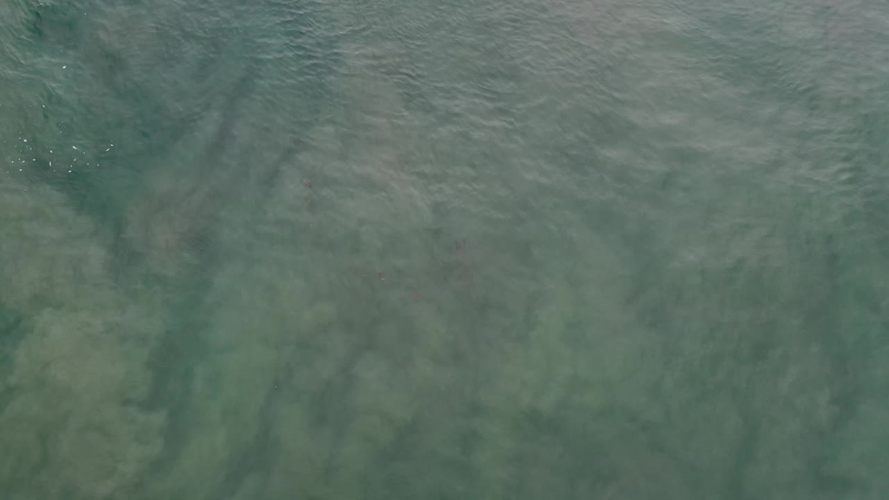 Overhead Los Cabos water frame with pale sandy shapes, darker green areas, light surface movement, and no visible people.