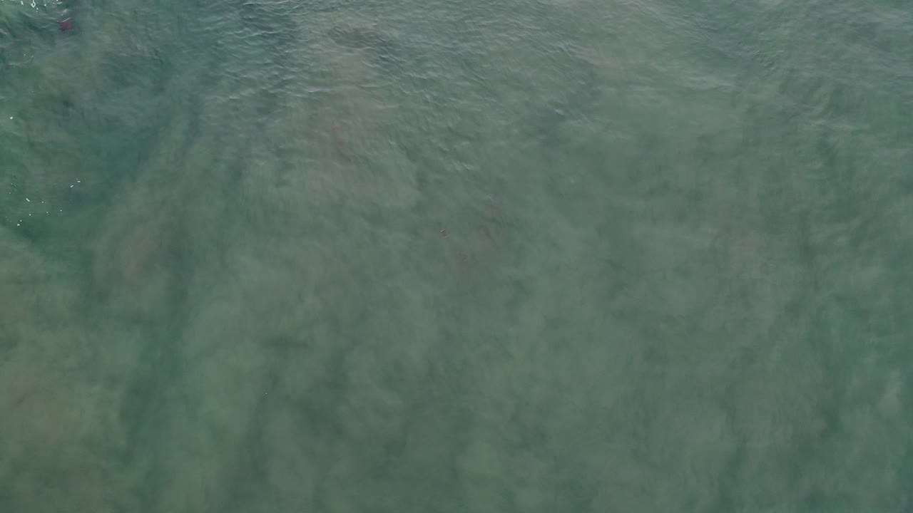 Overhead view of green-blue water in Los Cabos, Mexico, with brown streaks under the surface and no visible people.