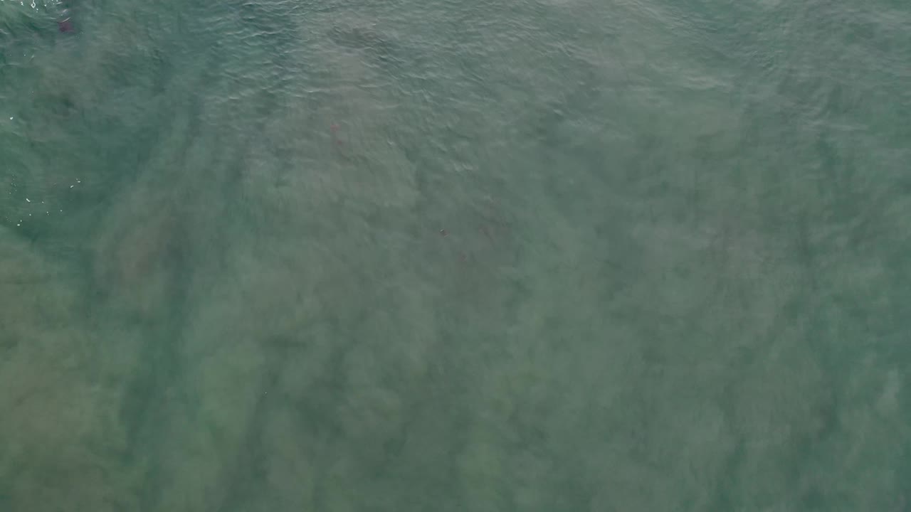 Shallow green water fills the frame in Los Cabos, Mexico, with darker brown bands visible below the rippled surface and no visible people.