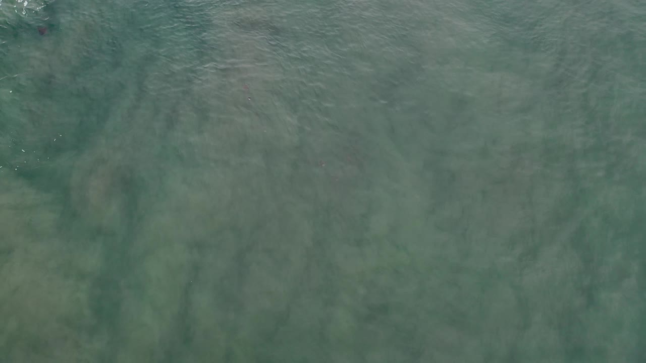 Muted green water with faint surface shimmer.