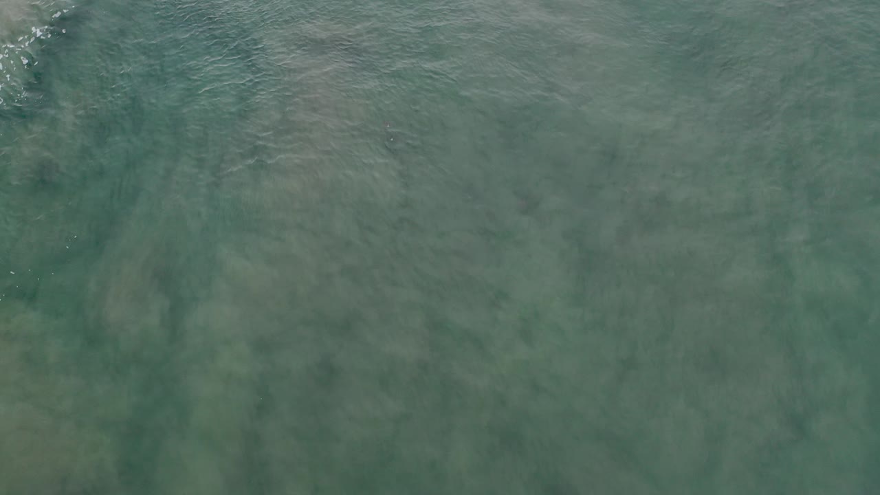 Overhead view of green-blue shallow ocean water in Los Cabos, Mexico, with faint underwater sand patterns and no visible people.