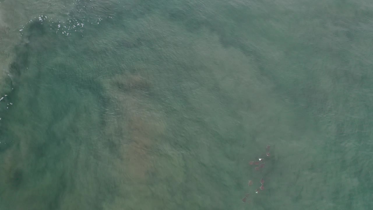 Overhead view of clear green-blue water in Los Cabos, Mexico, with dark submerged rock forms, faint sandy patches, small white foam, and no visible people.