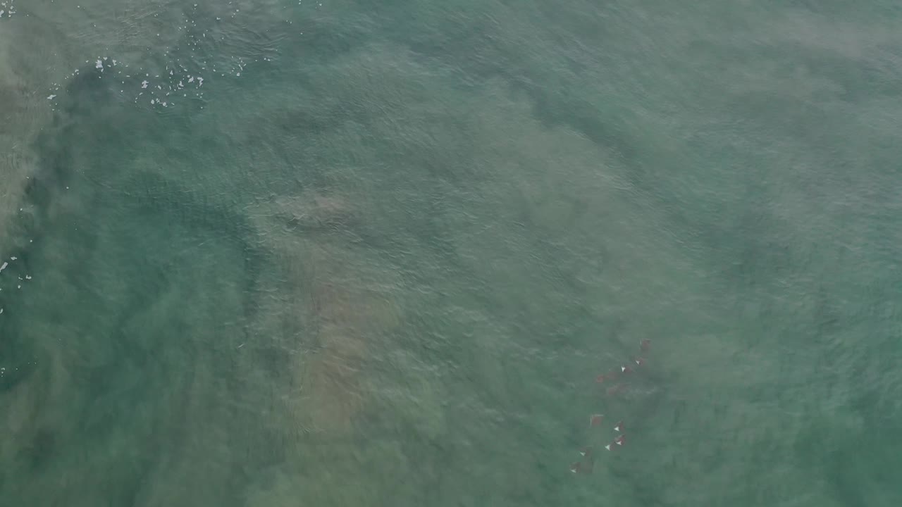 Green ocean water with a central submerged formation and scattered foam flecks.