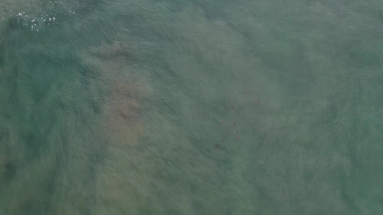 Top-down view of green-blue water in Los Cabos, Mexico, with small white foam specks near the upper edge and no visible people.