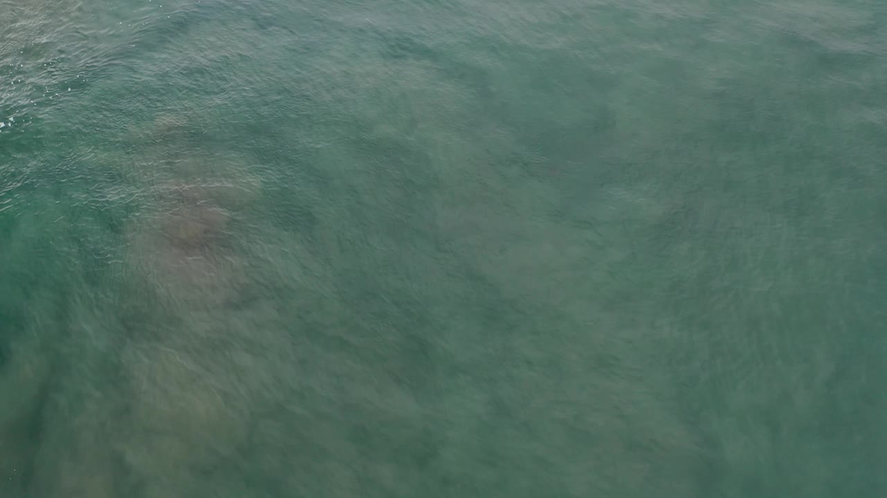 Calm shallow water with faint sandy patches visible under ripples.
