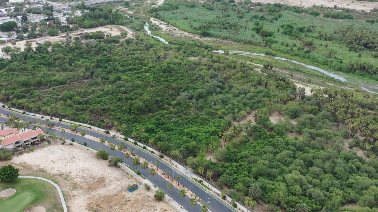 Aerial view of a curving road beside dense green vegetation and a pale open lot.