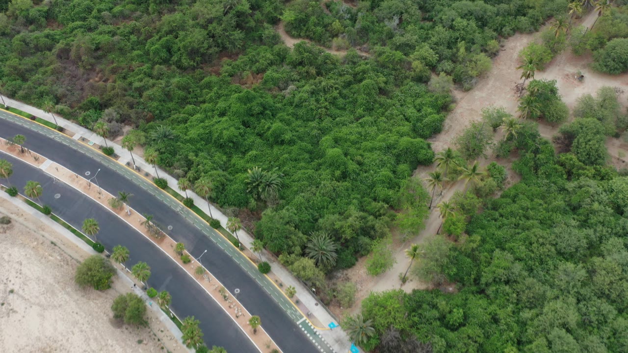 Aerial view in Los Cabos, Mexico showing a curving paved road, sidewalk, sandy shoulder, and dense green vegetation with no visible people.