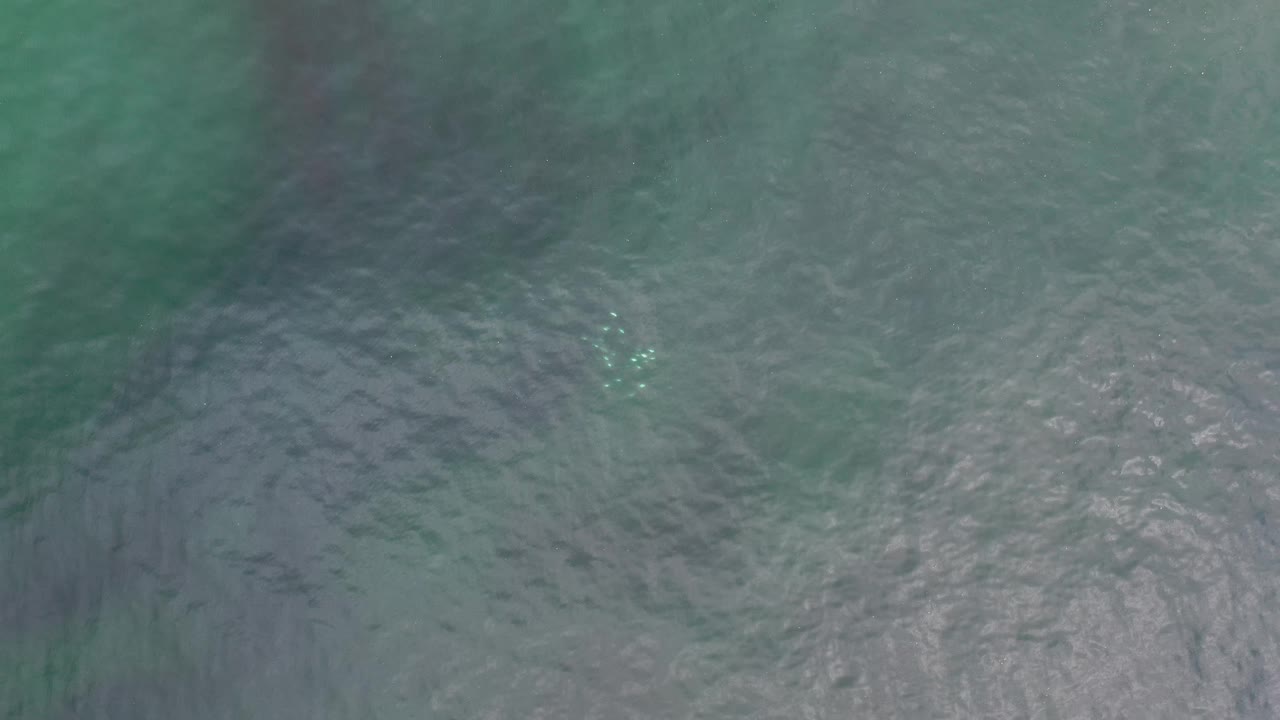 Overhead Los Cabos water frame with the pale underwater objects slightly lower in the composition beneath mottled green surface ripples and no visible people.