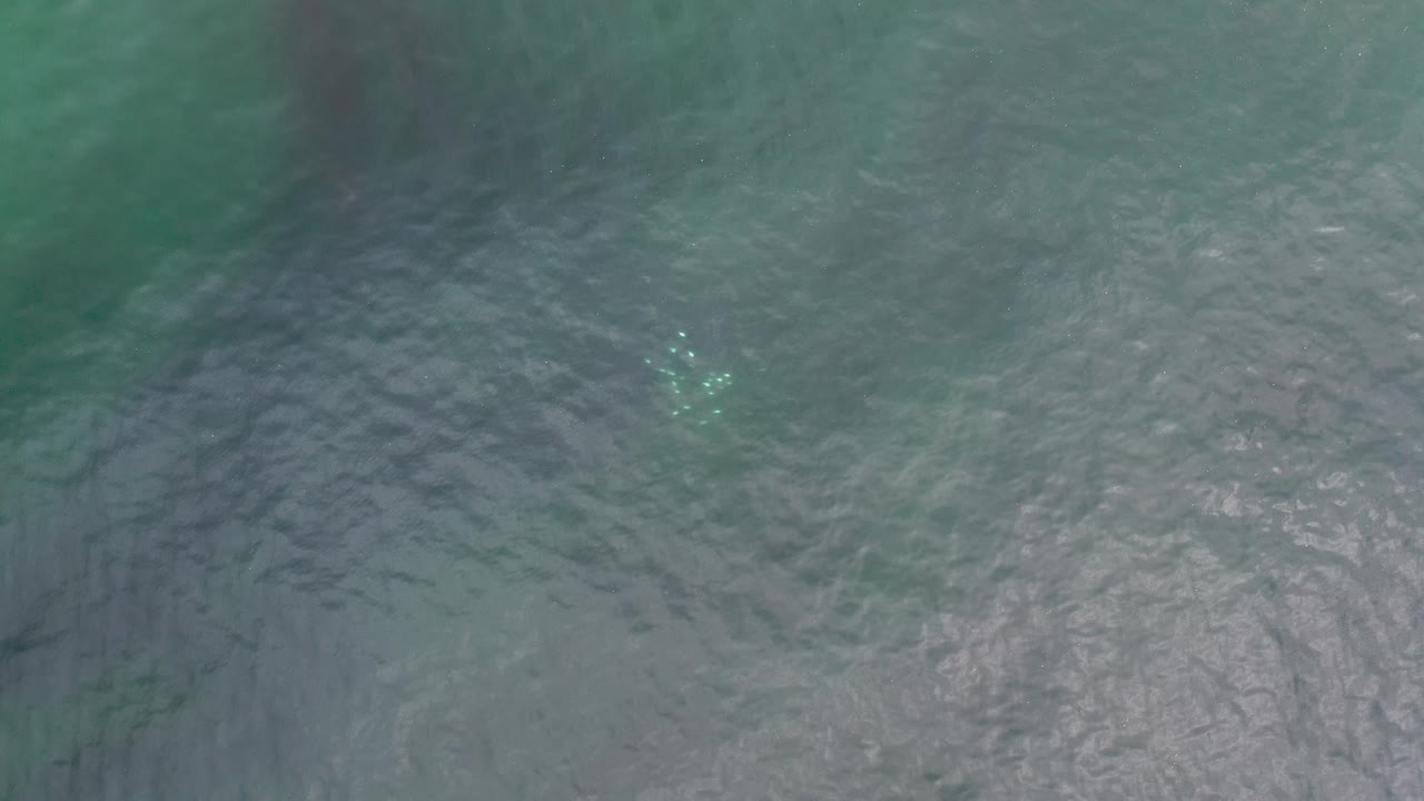 Top-down sea water with bright pale cluster under the surface