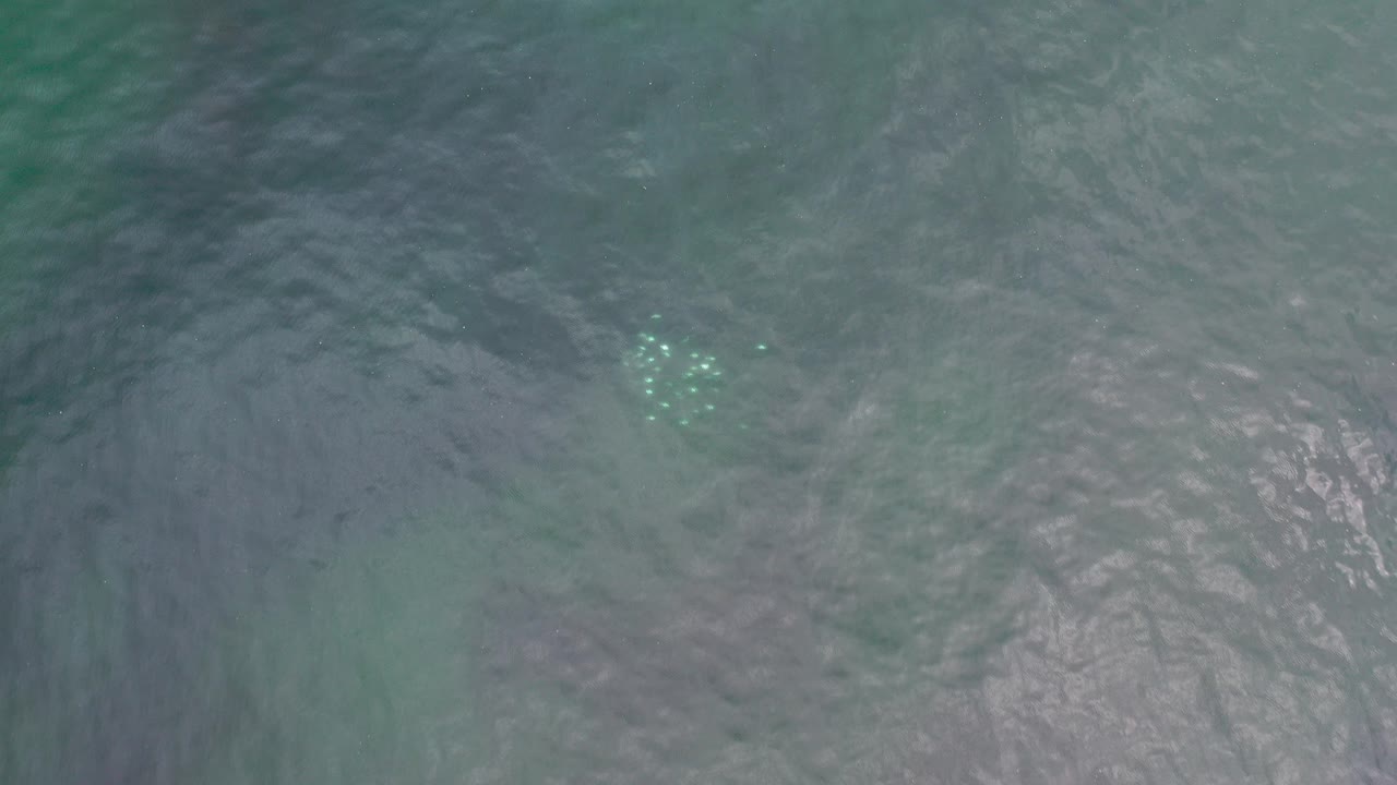 Overhead view of teal-gray ocean water in Los Cabos, Mexico, with pale submerged rock forms and small bright foam flecks, no visible people.