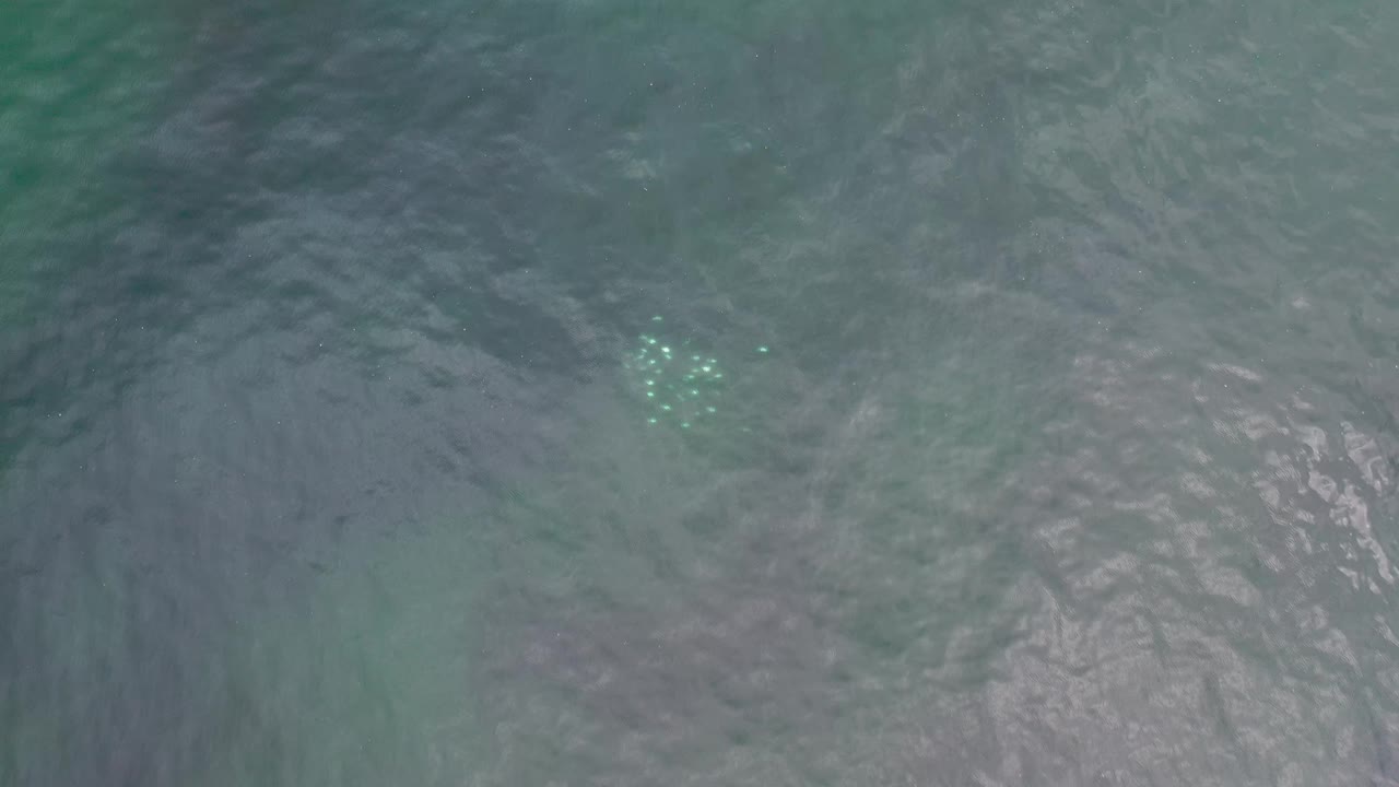 Top-down Los Cabos sea surface with muted teal water, darker ripples, pale underwater forms near the lower edge, and no visible people.