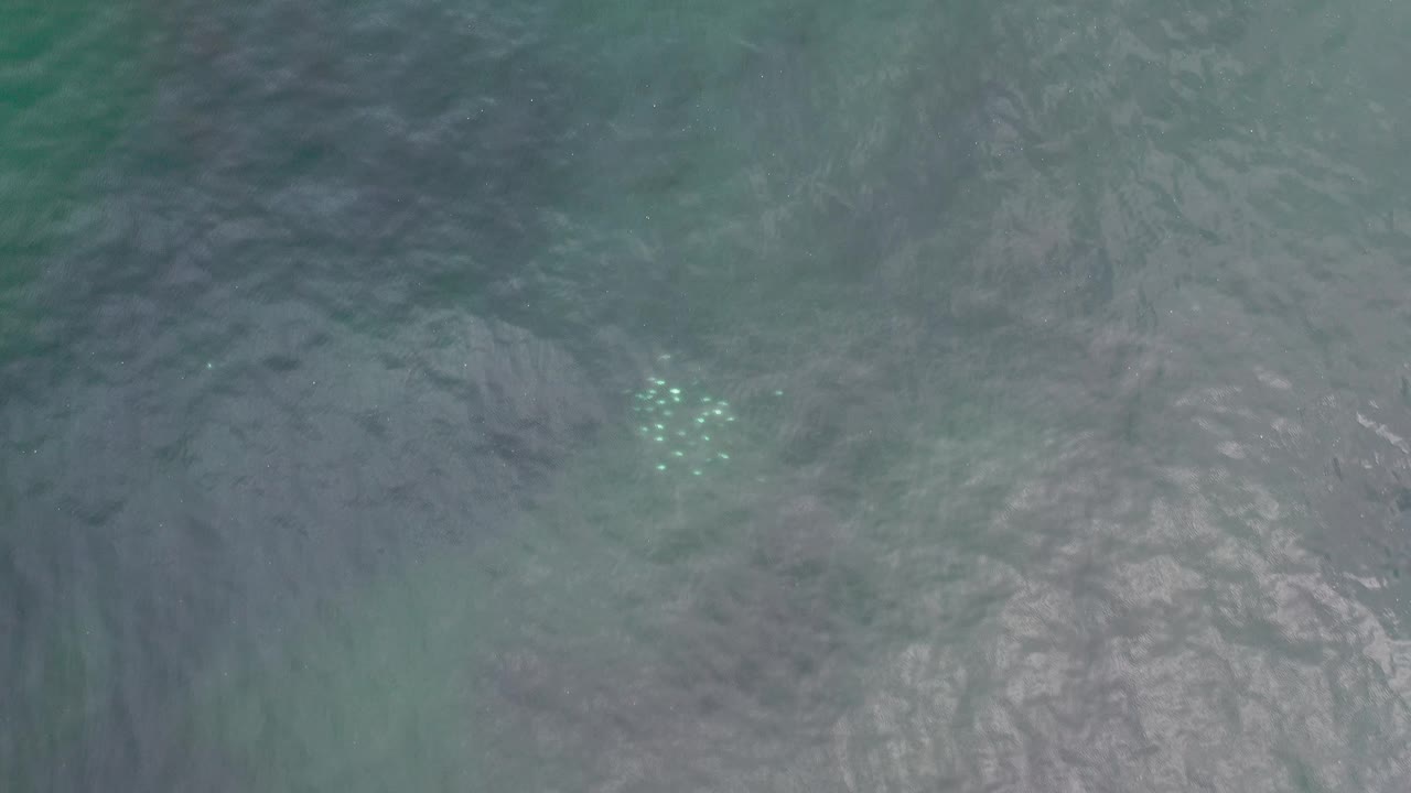 Teal-gray ocean seen from above with bright foam specks