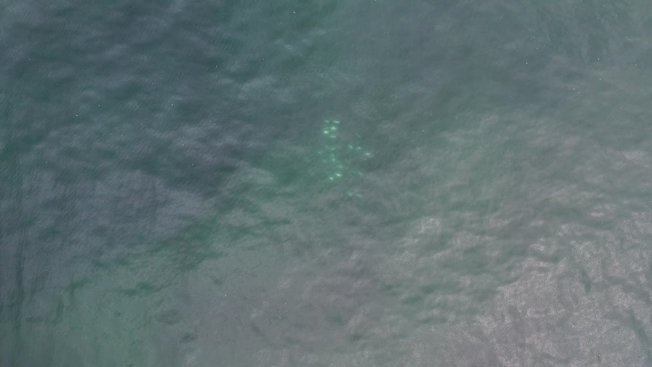 Overhead blue-green ocean water in Los Cabos, Mexico, with pale sunlight glinting on rippled waves and no visible people.
